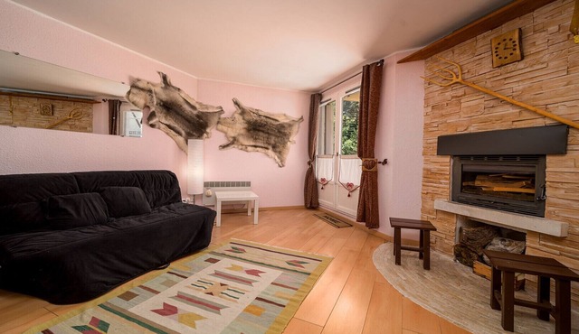 Magnificent 4-pers studio with fireplace in Allos