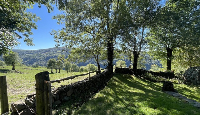 Maison#vacances#montagne#cantal in Fontanges