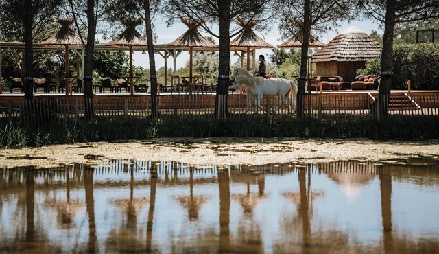Mas de Dard, an Exceptional Estate in Provence, with a heated pool and a padel court