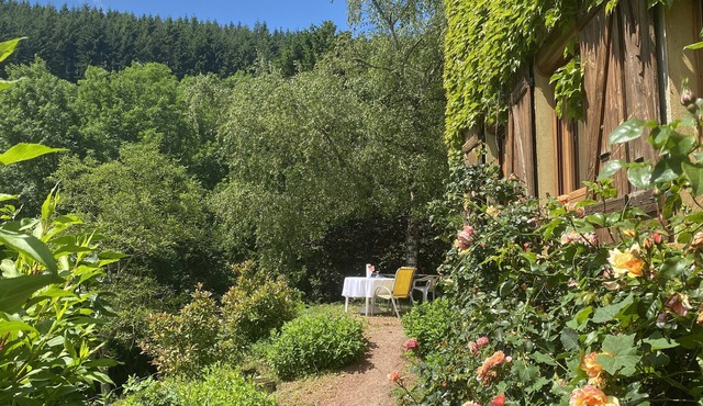 Nature Lover's Paradise: Walks & Relaxation at Gîte