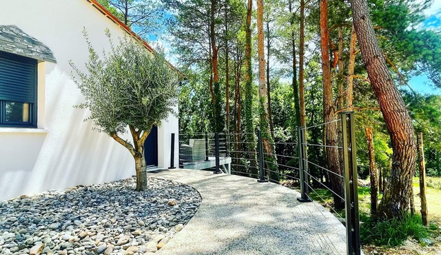 PHOTINIA - SPECIAL "HIGH SEASON" OFFER in Le Bugue