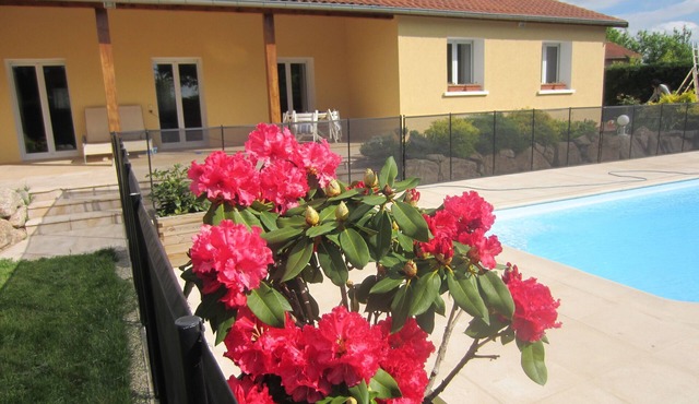 Single-storey villa with secure saltwater swimming pool in Grézieu-la-Varenne