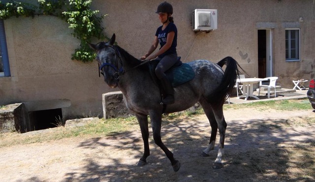 Tout Crin