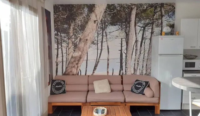 Vacation home Ronce les Bains (6 people) Private parking - garden-terrace