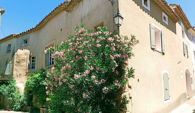 Village house with 2 terraces a stone's throw from Villedieu's mythical square in Villedieu