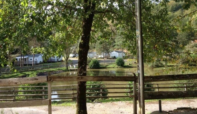 ZEcamping 3 étoiles animaux acceptés piscine chauffée et épicerie