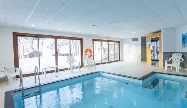 ZEcamping 3* piscine couverte dog friendly locatif TV 24m2 2 pers