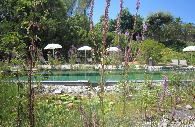 Villa Hespérides 