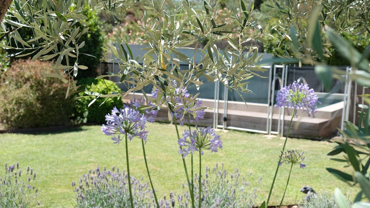 Photo of Outdoor in Aureille