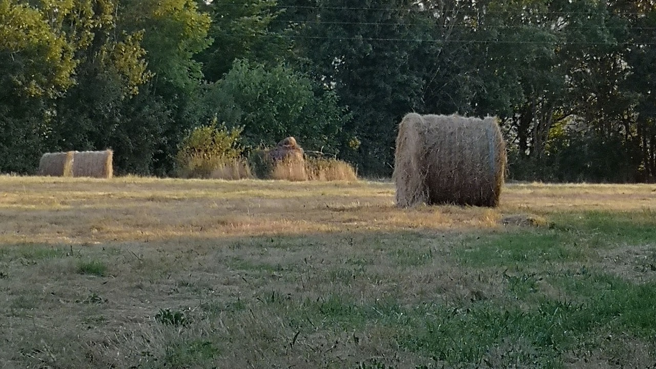 Photo of Outdoor in Saint-Franchy