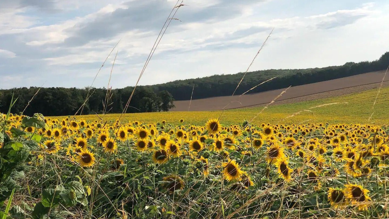 Photo of Outdoor in Crux-la-Ville