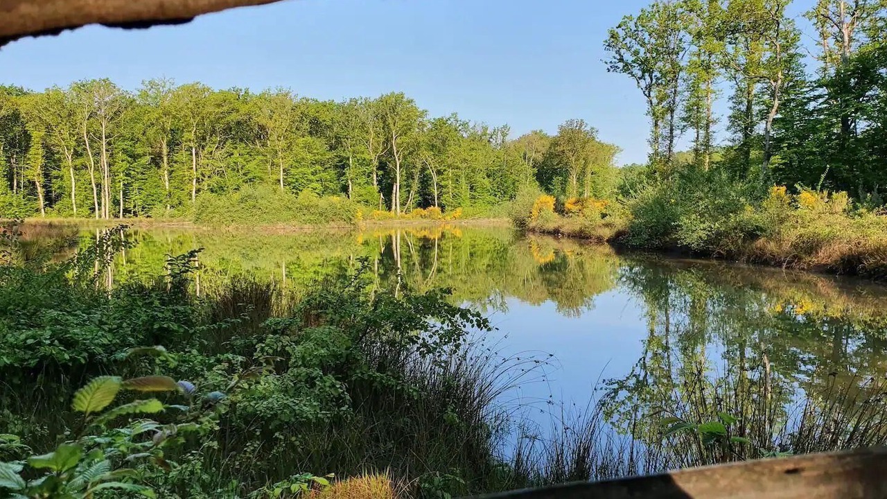 Photo of Outdoor in Crux-la-Ville