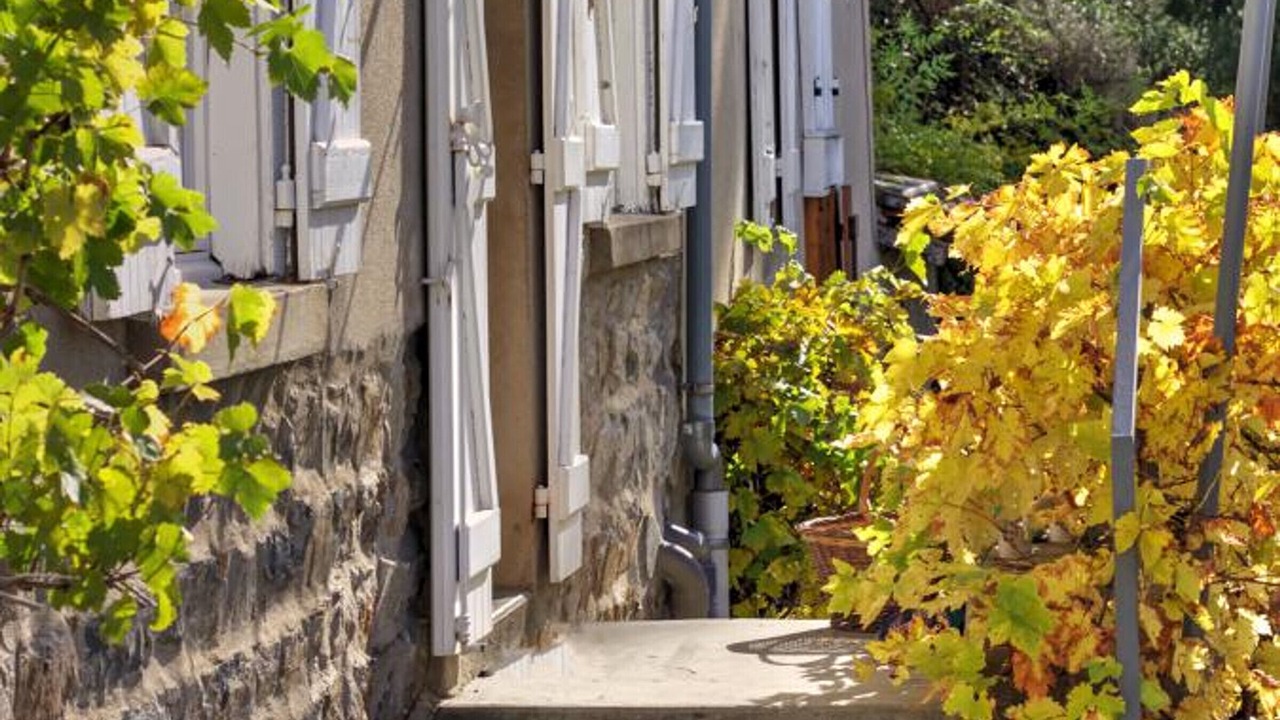 Photo of Outdoor in Saint-Symphorien-de-Lay