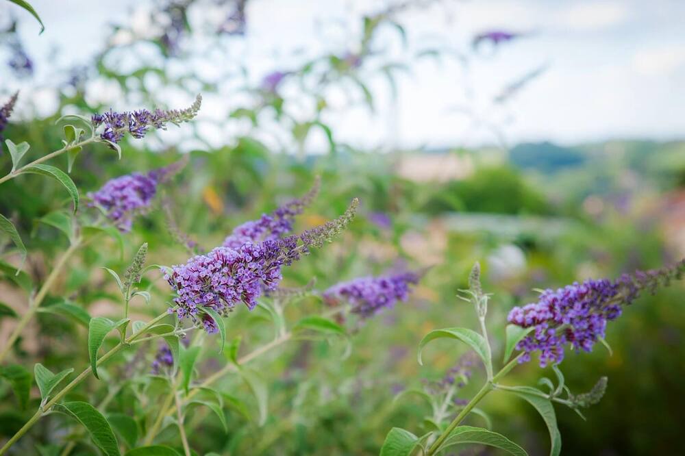Photo of Outdoor in Fossemagne