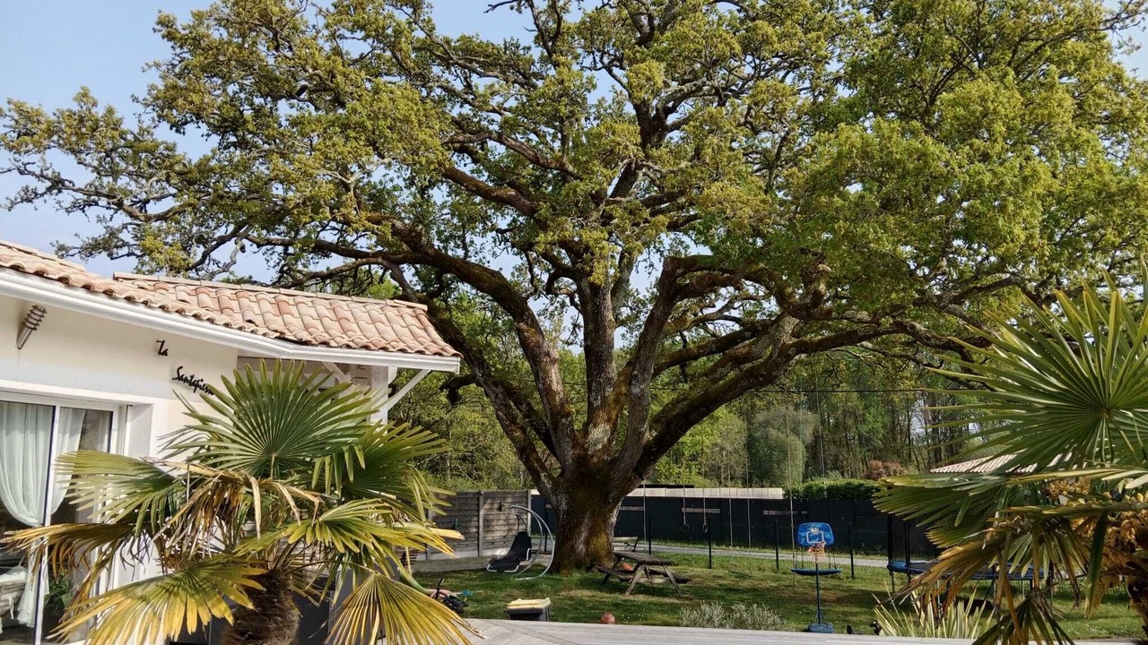 Photo of Outdoor in Mios