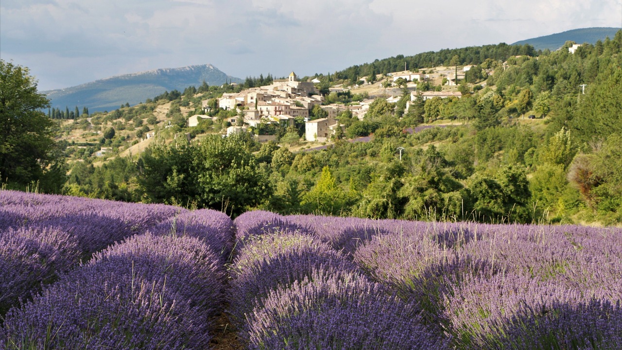 Photo of Outdoor in Visan