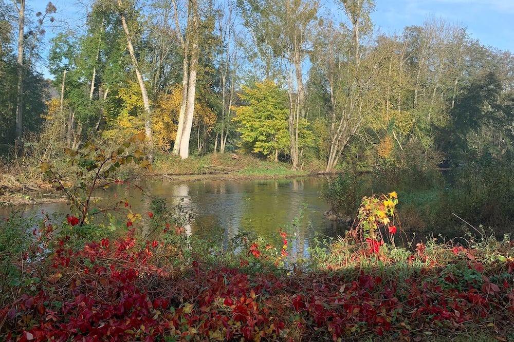 Photo of Outdoor in Sermizelles