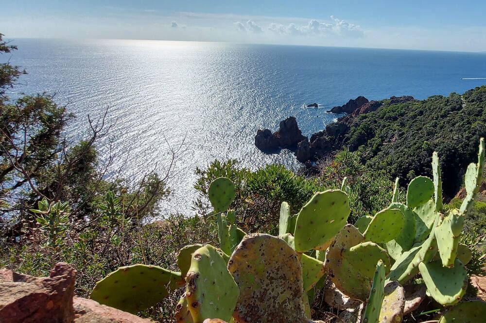 Photo of Outdoor in Le Dramont