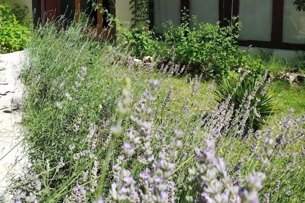 Photo of Outdoor in Noaillan