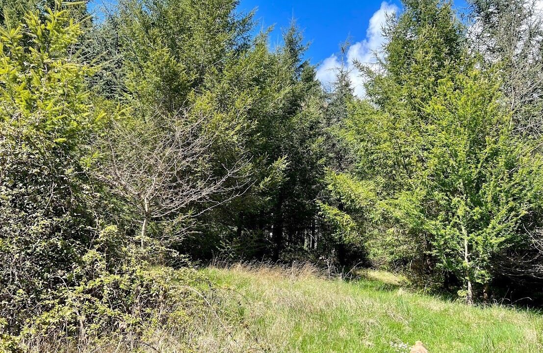 Photo of Outdoor in Fossemagne