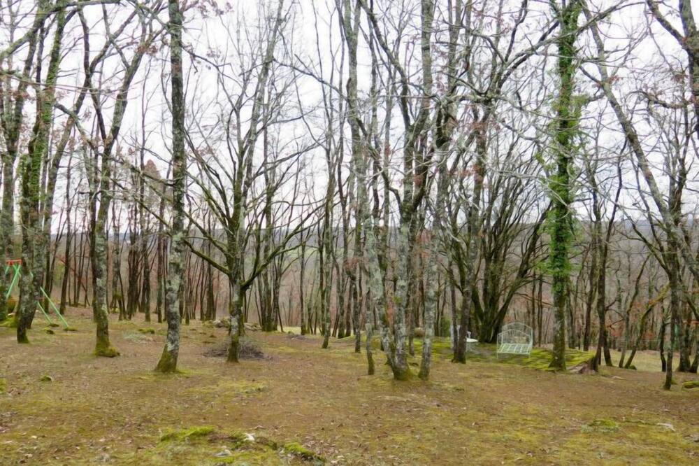 Photo of Outdoor in Terrasson-la-Villedieu
