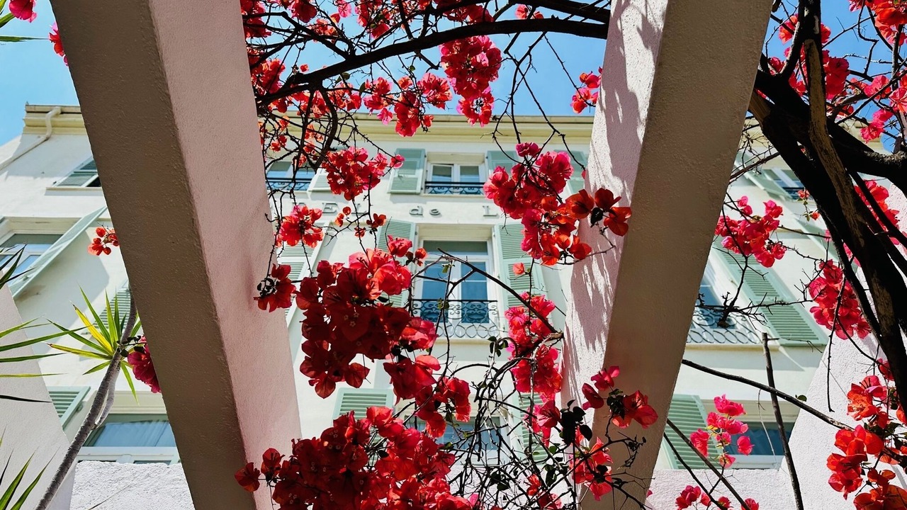 Photo of Outdoor in Menton