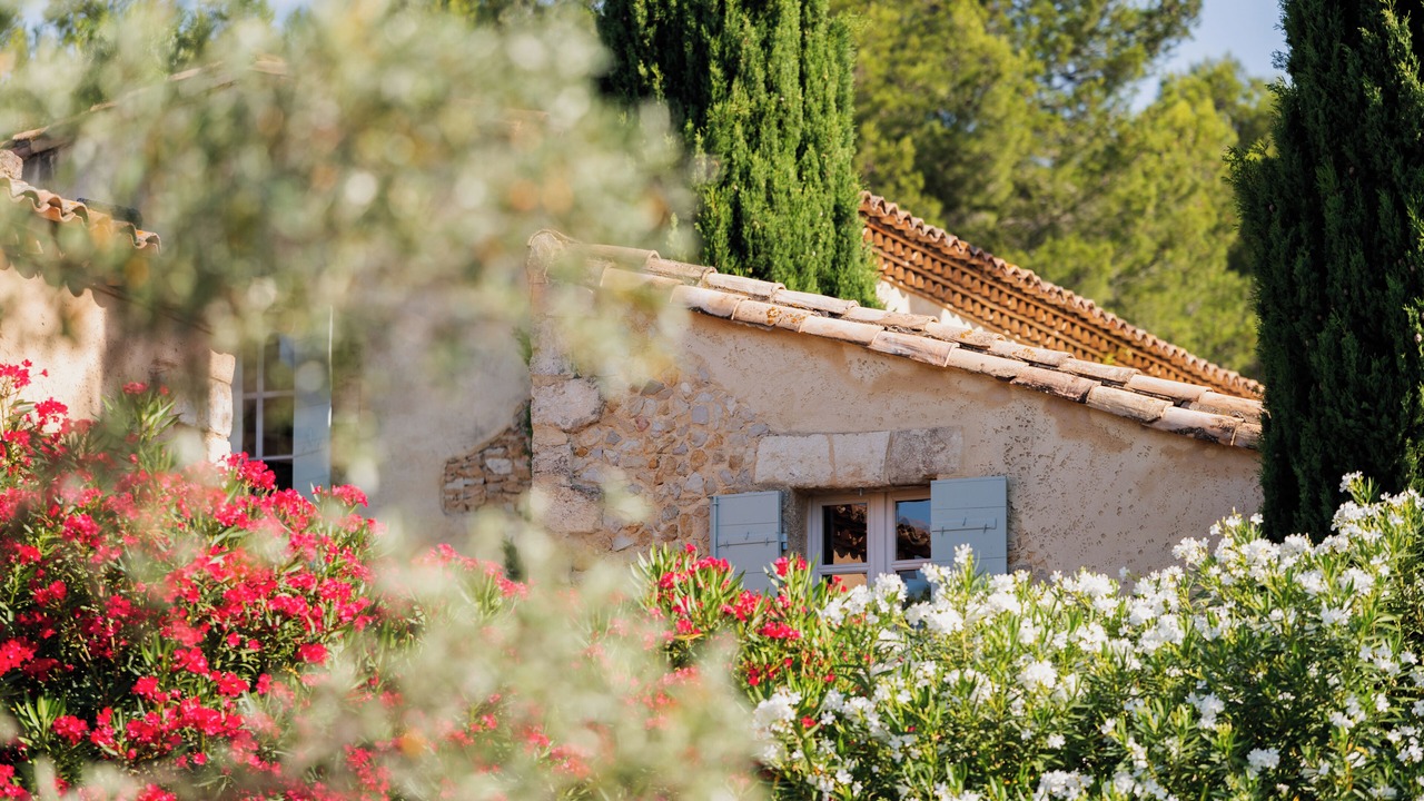 Photo of Outdoor in Paradou