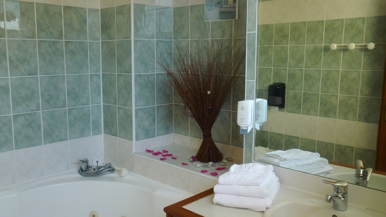 Photo of Bathroom in Nevers