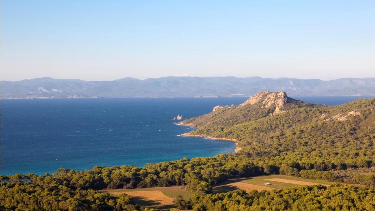 Photo of Others in Porquerolles
