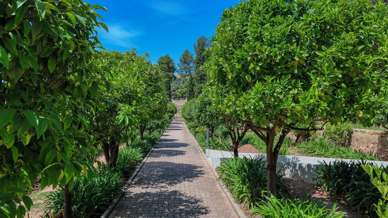 Photo of Outdoor in La Valette-du-Var