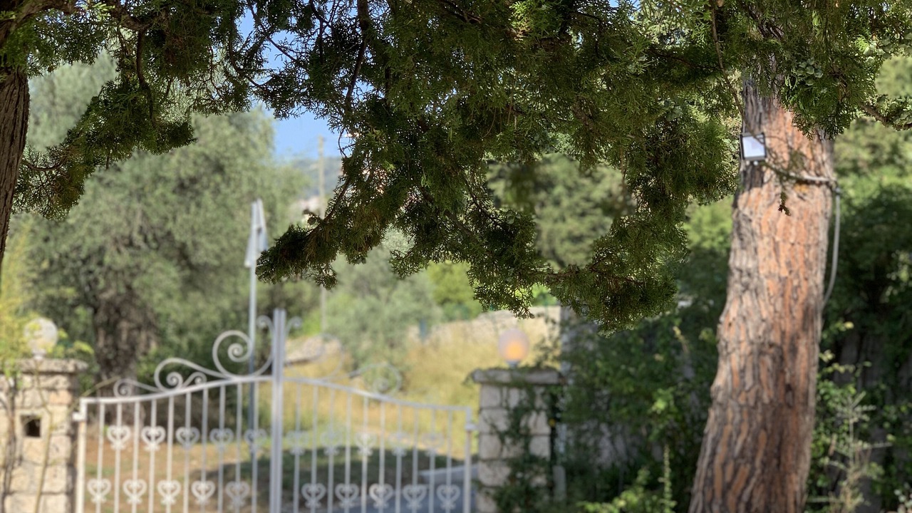 Photo of Outdoor in Grasse