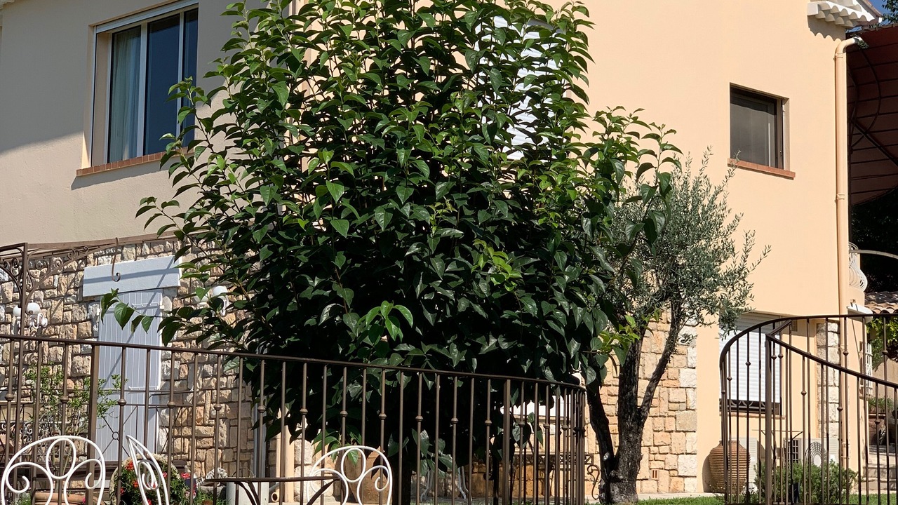 Photo of Outdoor in Grasse
