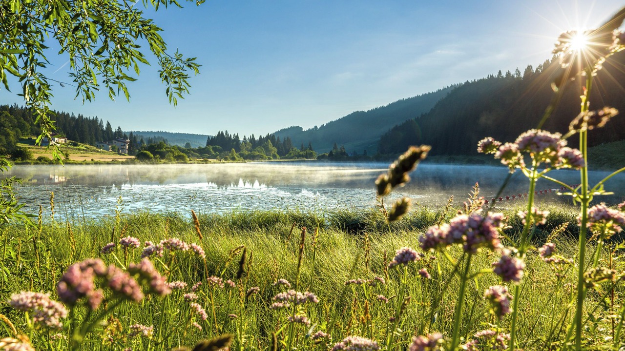 Photo of Outdoor in Mijoux