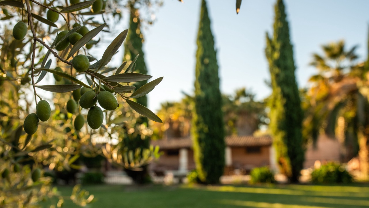 Photo of Outdoor in Beaucaire