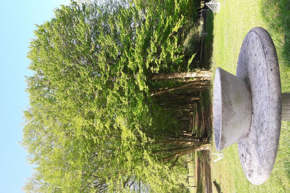 Photo of Outdoor in Brantome-en-Perigord