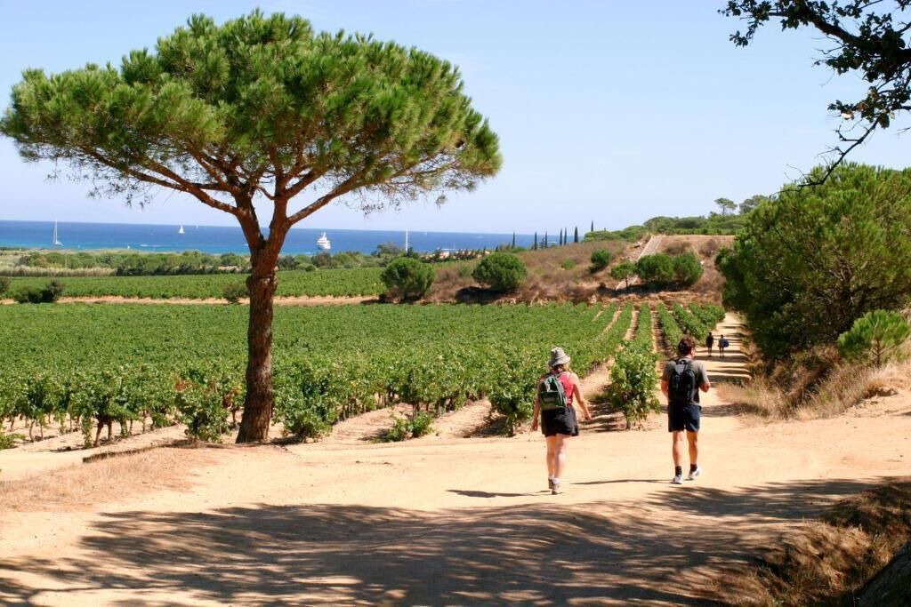 Photo of Outdoor in Ramatuelle