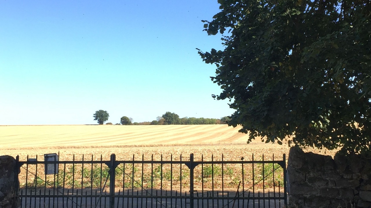 Photo of Outdoor in Pazy