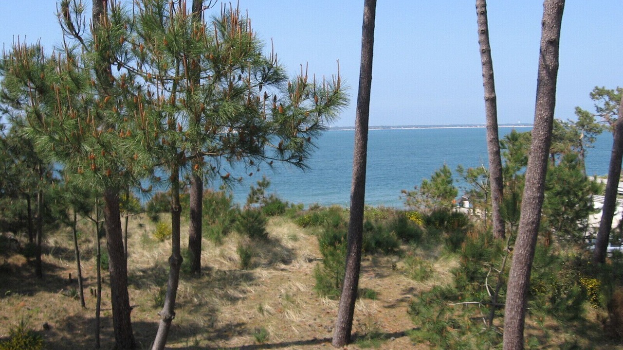 Photo of Outdoor in Pyla-sur-Mer