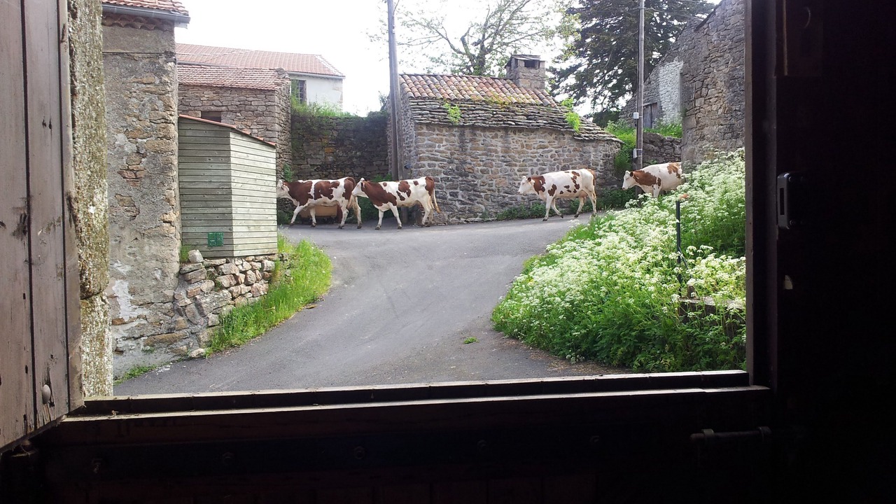 Photo of Outdoor in Villeneuve