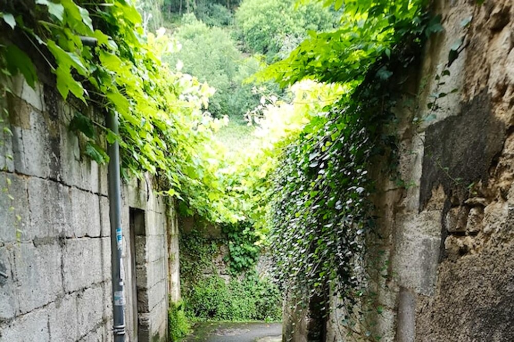 Photo of Outdoor in Brantome-en-Perigord