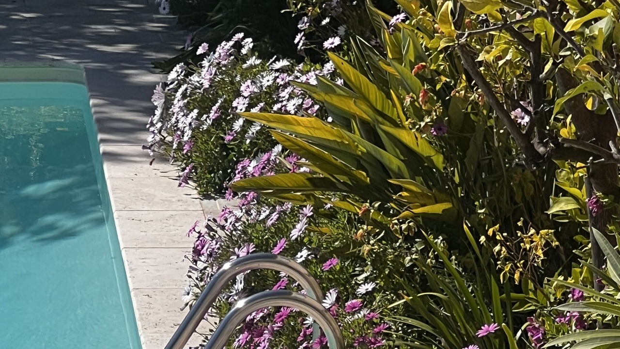 Photo of Outdoor in Grasse