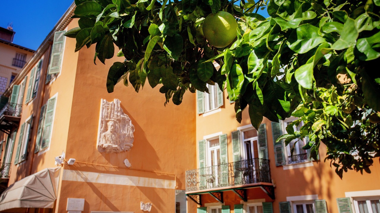 Photo of Outdoor in Thiers