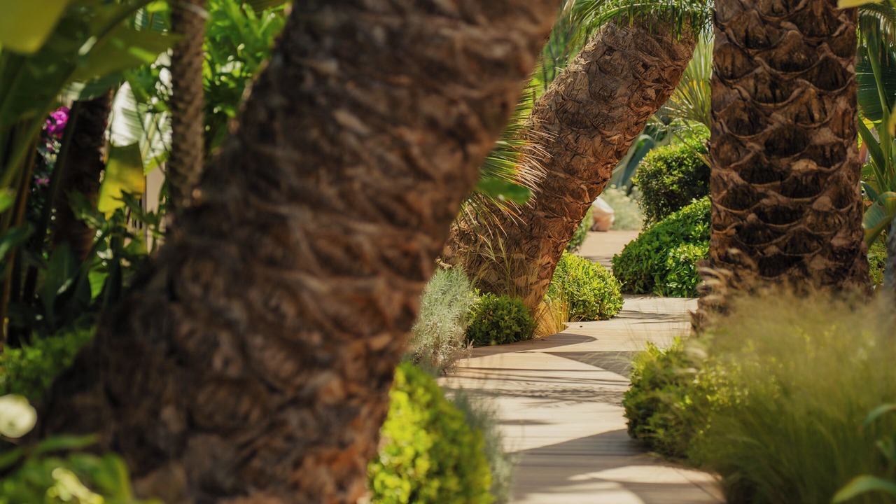 Photo of Outdoor in Ramatuelle