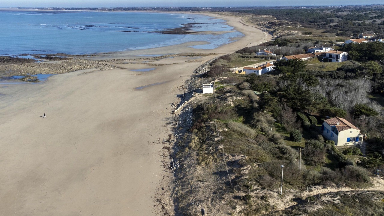 Photo of Others in Saint-Denis-d'Oleron