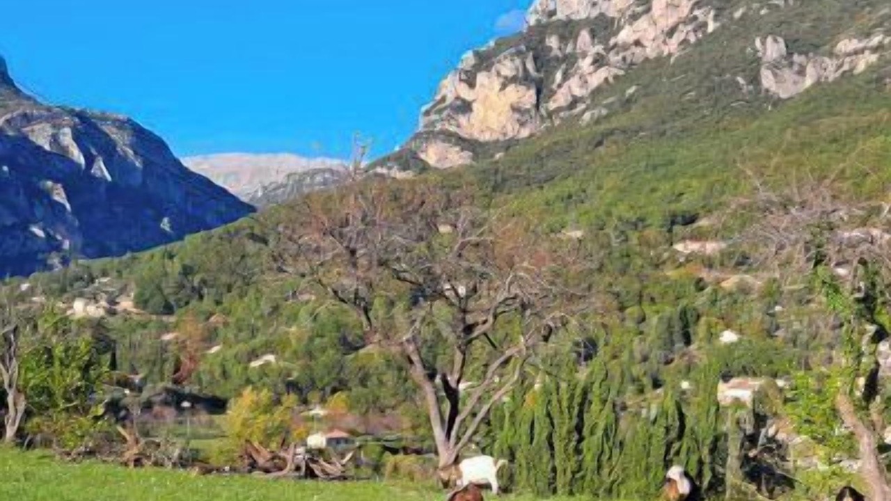 Photo of Others in Le Bar-sur-Loup