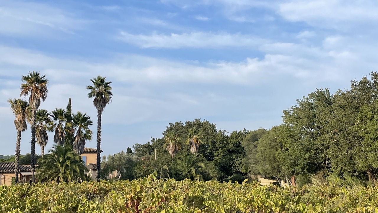 Photo of Others in Ramatuelle
