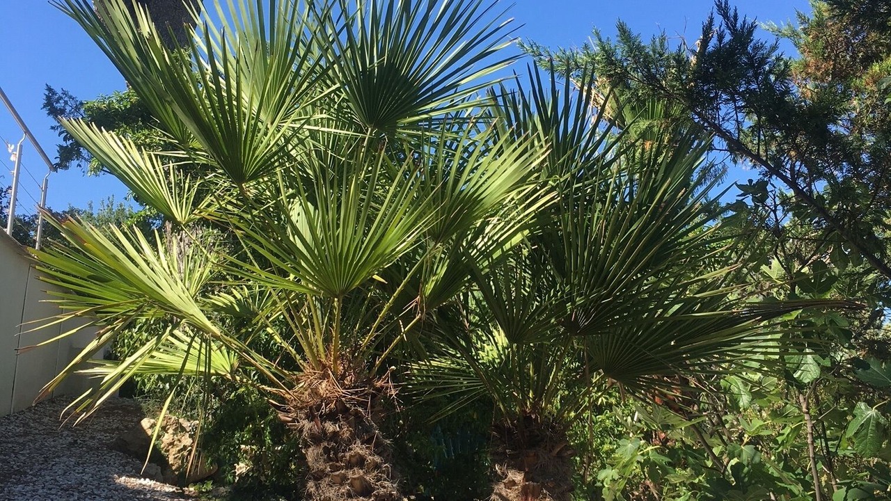 Photo of Outdoor in Fuveau