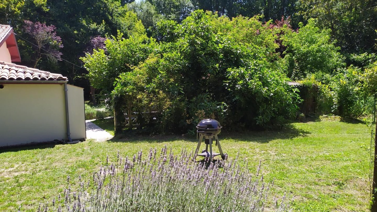 Photo of Outdoor in Noaillan