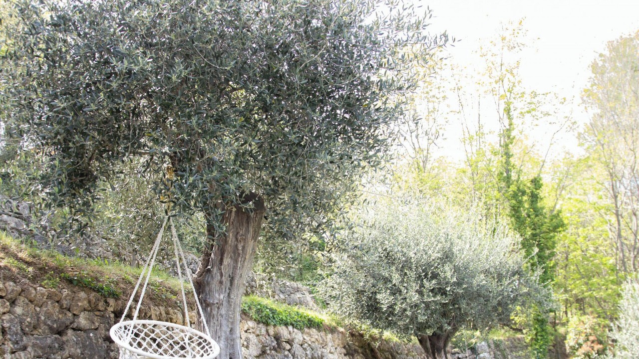 Photo of Outdoor in Le Rouret