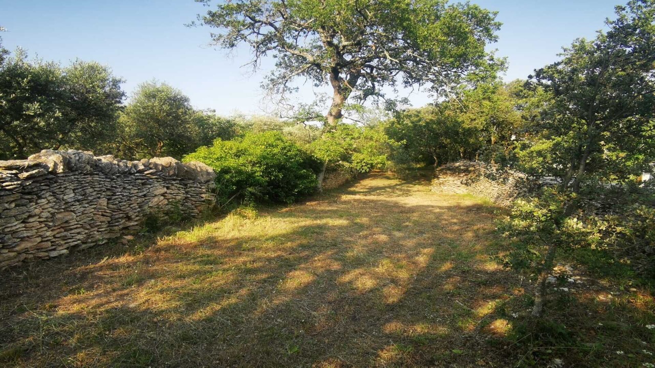 Photo of Outdoor in Cabrieres-d'Avignon